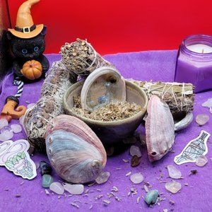Lavender, Blue, Yerba Santa Sage & Shell Set